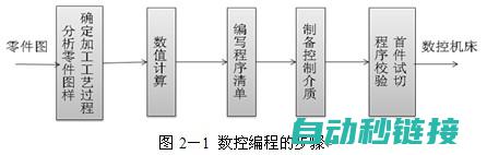 从编程步骤到应用实践 (从编程到软件分几步)