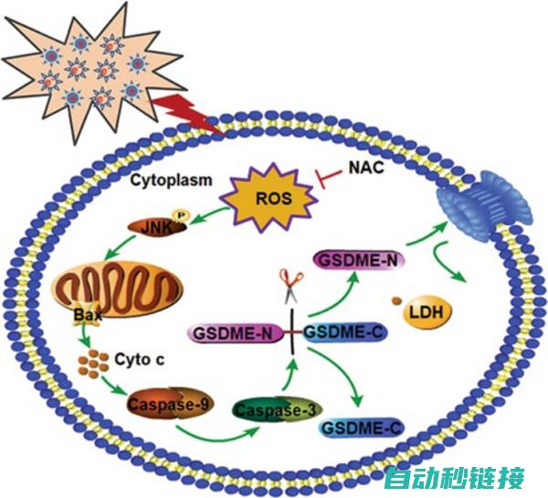 三、gsd文件的使用场景分析 (三文小说百科)